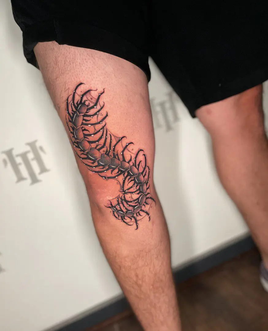 Fine line centipede tattoos on legs