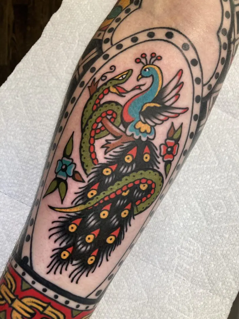 colorful american tradtional peacock tattoo